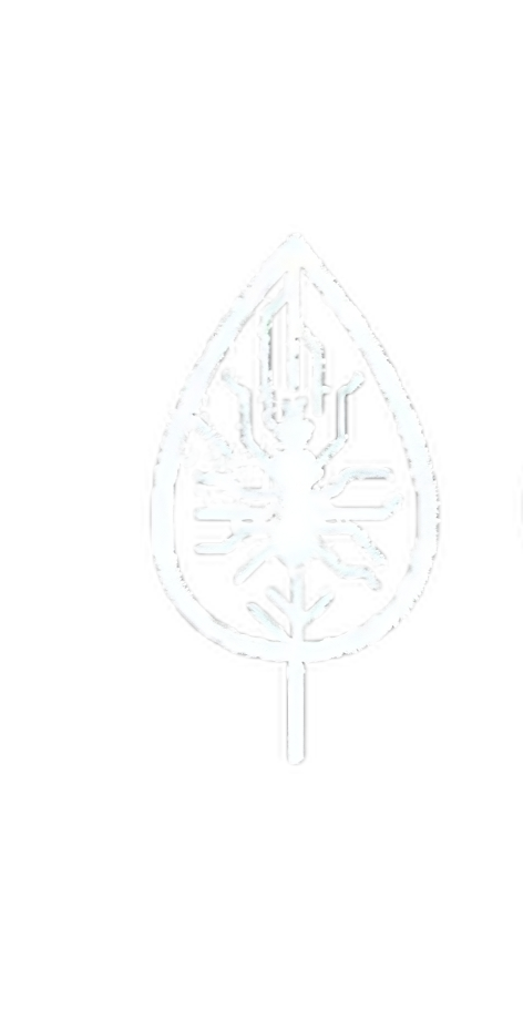 OSGWeb.ge Logo